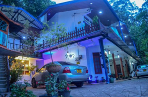 New Blue Home